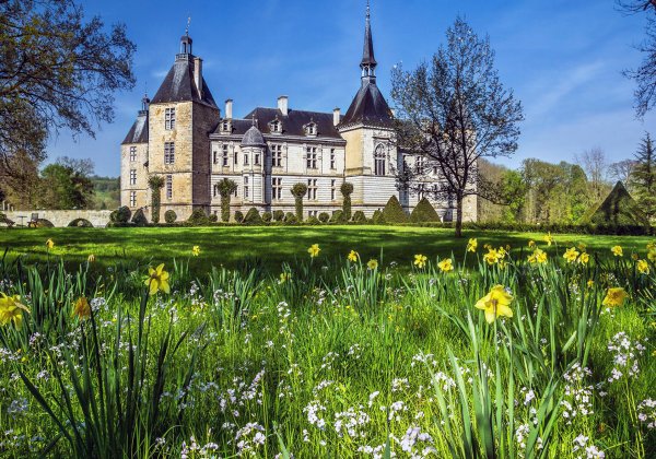 Замок с лужайкой