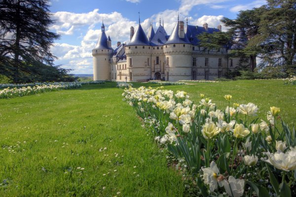 Долина Луары картина