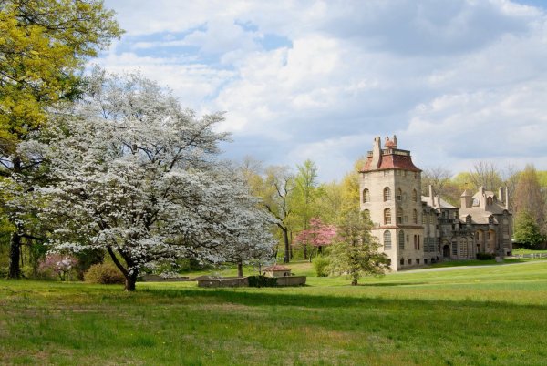 Дворцы и природа