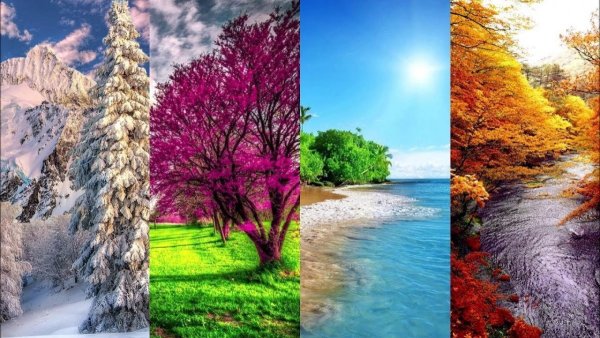 Фото зима Весна лето осень