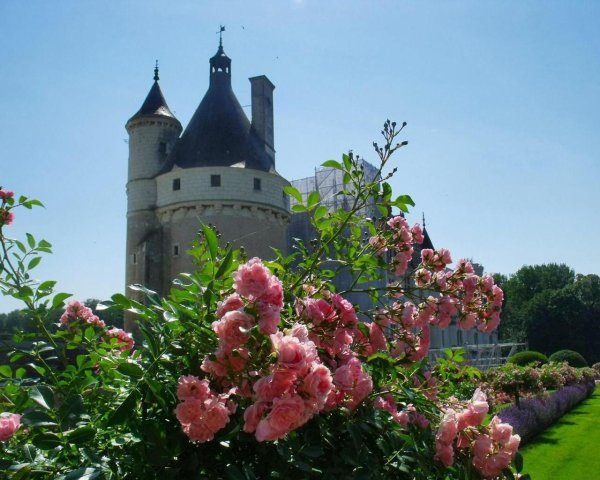 Шверинский замок (Schwerin Castle)