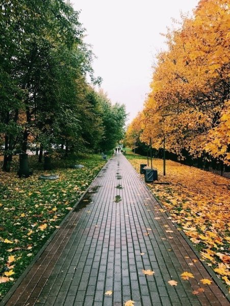 Осень с летом