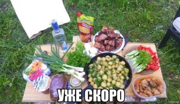 Приколы про шашлыки на природе