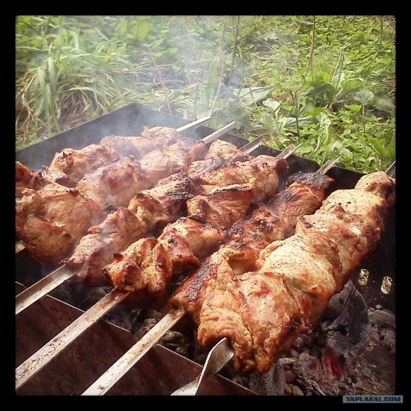 Шашлыки на даче