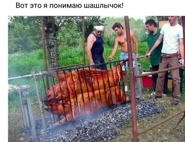 Шашлыки на природе