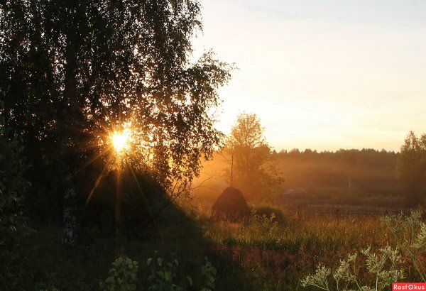 Петр Солнцеворот