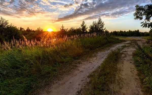 Деревня рассвет Брянская область