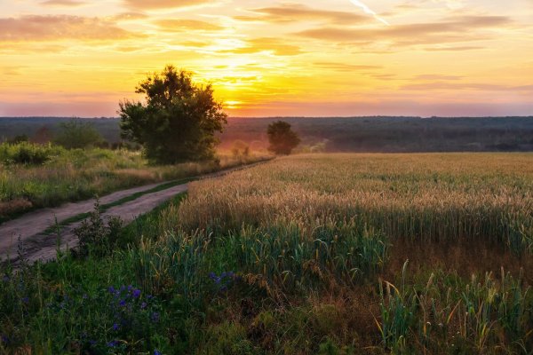 Рассвет в деревне