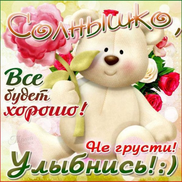 Рыжий кот