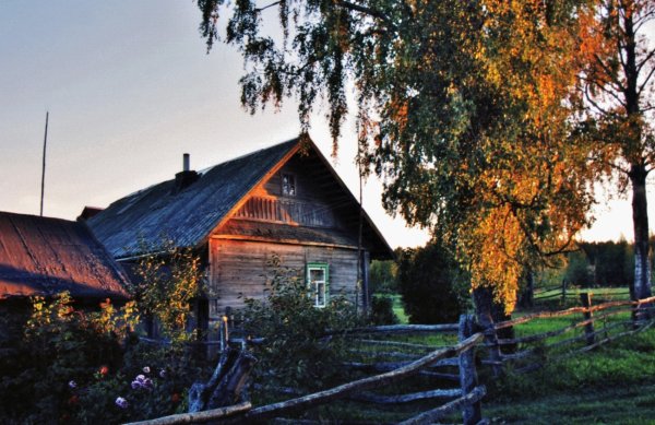 Деревня летом