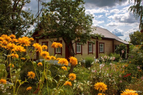 Деревенский дом желтого цвета