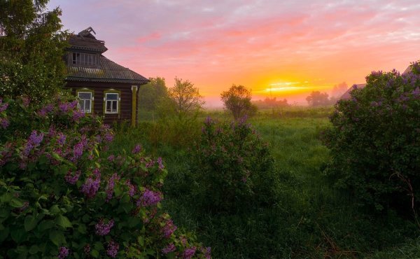 Утренний пейзаж деревня Герасимов