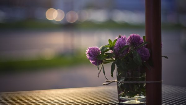 Завтрак на веранде