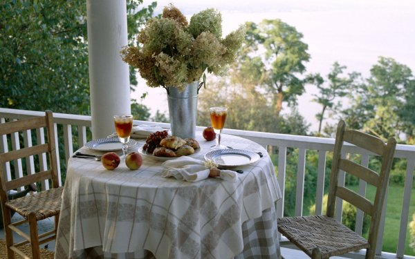 Уютные кошки