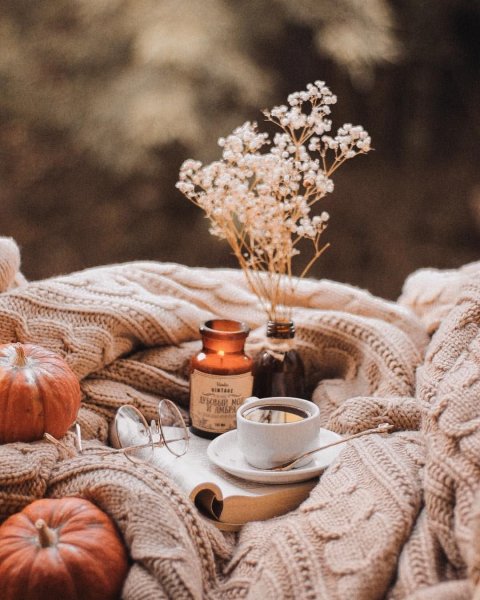 Уютные растения