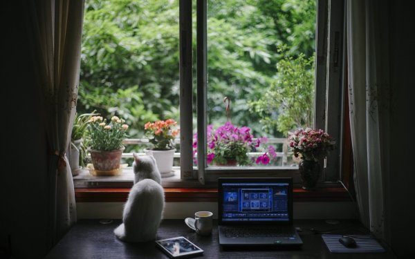 Чашка кофе на природе