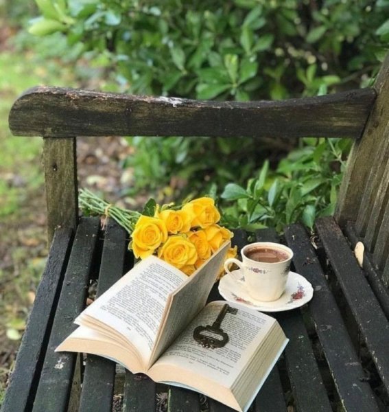 Утро кофе солнце