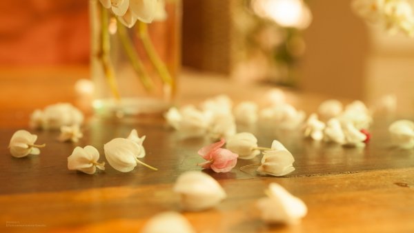 Уютная осень