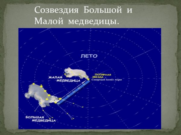 Большая Медведица и малая Медведица