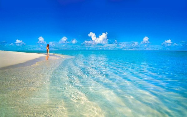 Прикольный отдых