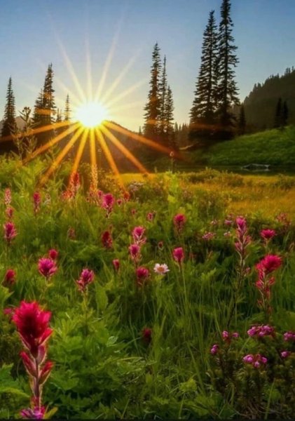 Русская природа летом