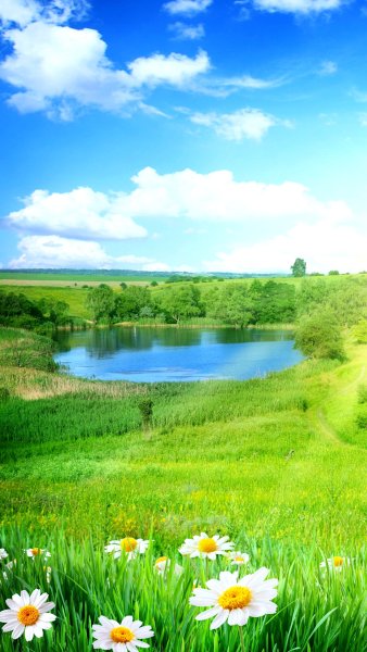 Красивый пейзаж лето