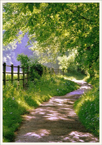 Море пальмы и песок