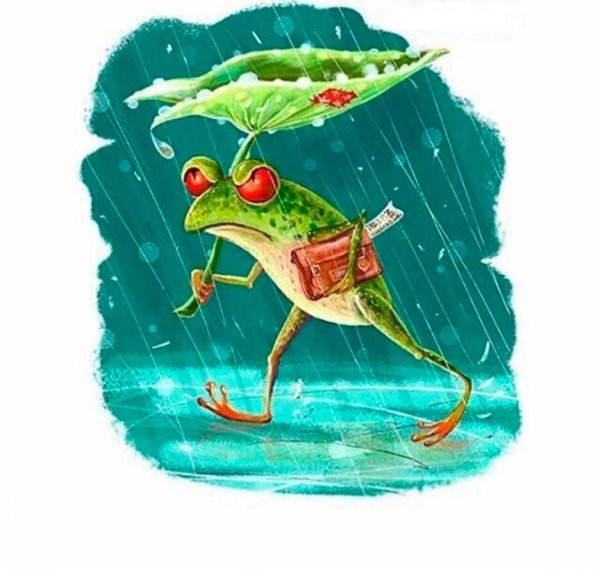 Лягушка под дождем