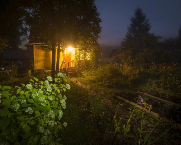 Огород ночью