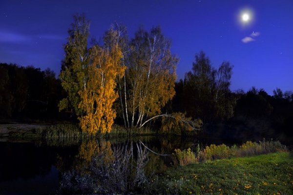Лунная осень