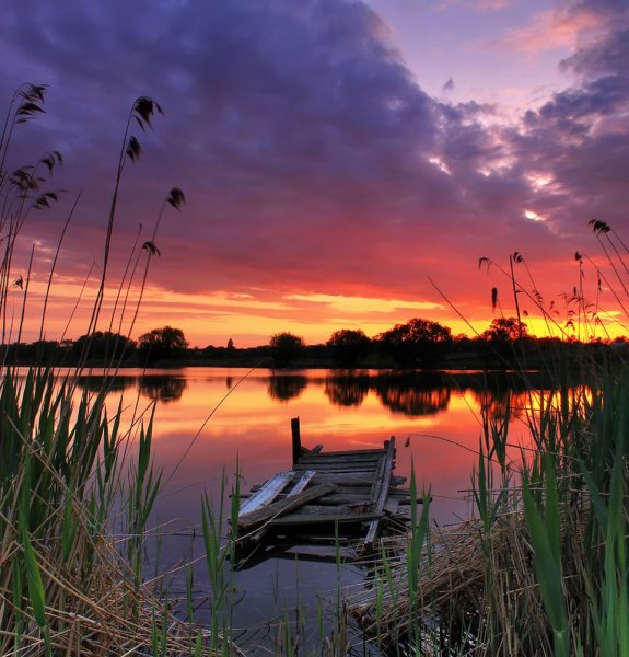 Раннее утро в деревне