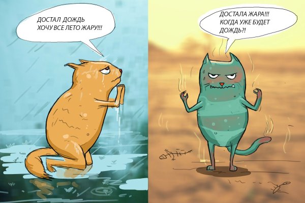 Анекдоты про Холодное лето