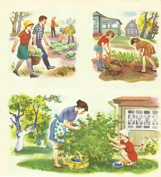 Сбор урожая для детей