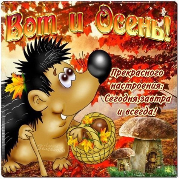 Первый день осени приколы