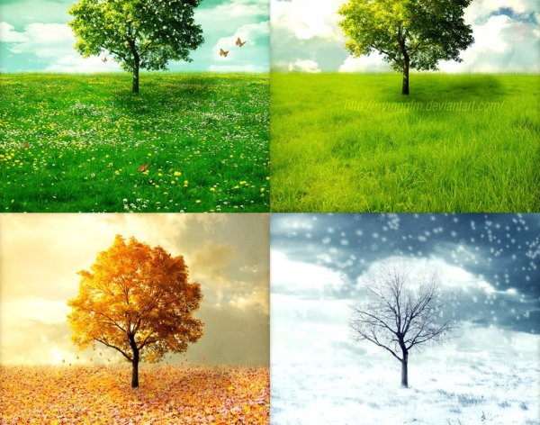 Seasons для детей