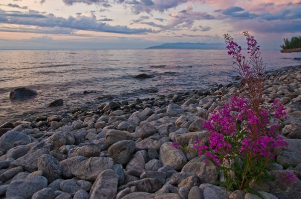Природа Байкала летом