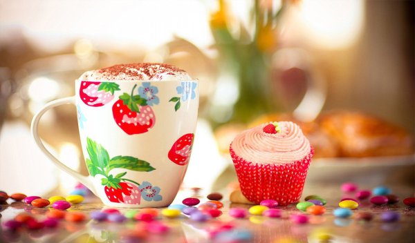 Утренние полевые цветы