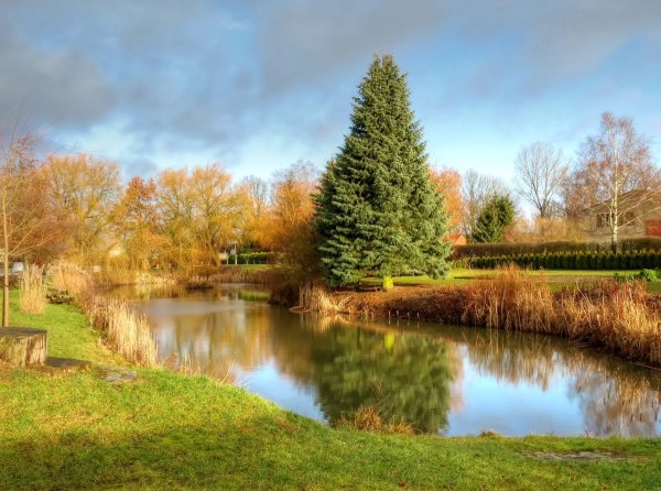 Летняя природа