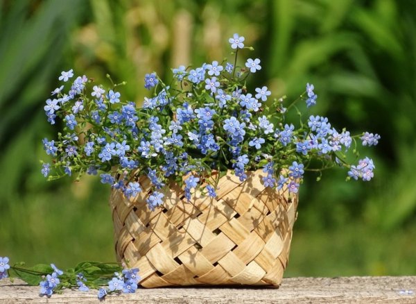 Август конец лета цитаты