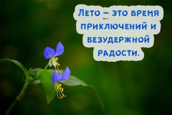 Месяц июнь