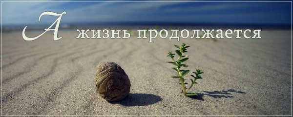 Желаю вам такого лета чтоб было не до интернета