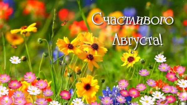 Открытки о лете