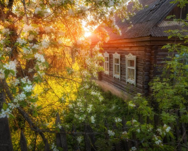 "Домик окнами в сад"