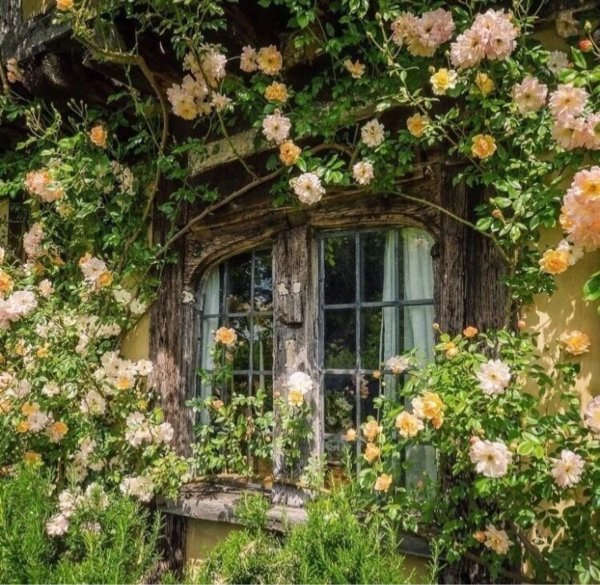 Стиль cottagecore Aesthetics