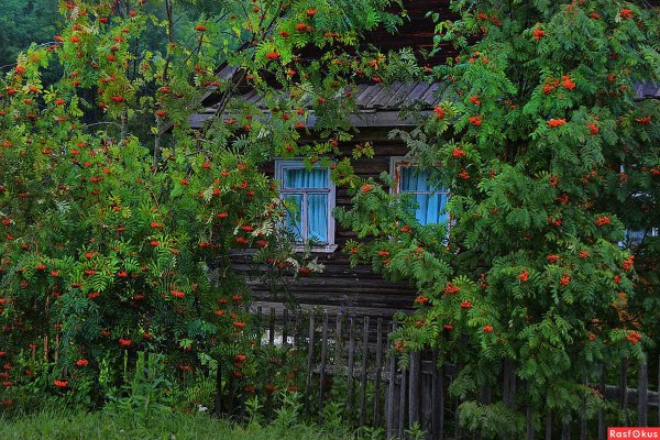 Валерий Артамонов художник картины