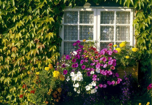 Белорусская художница Татьяна черных