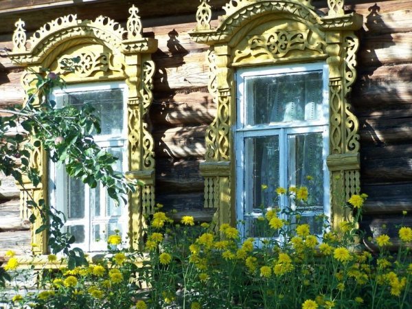 Ромашки в деревне