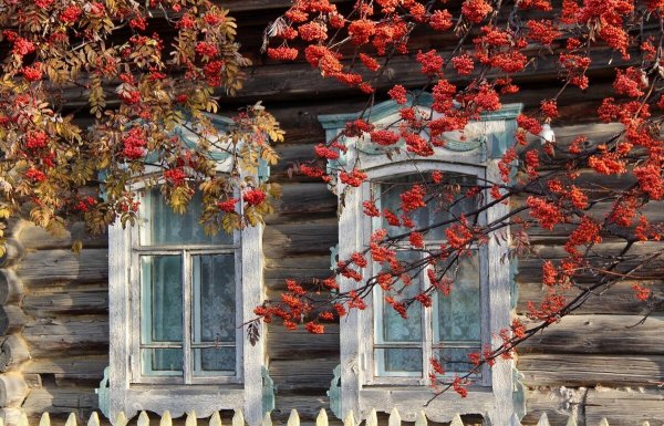 Сергей Есенин избушка живопись