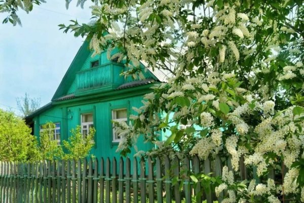 Художник Стивен Дарбишир