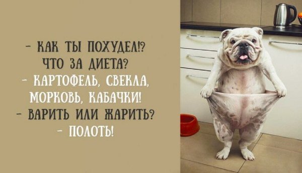 Смешное про похудение